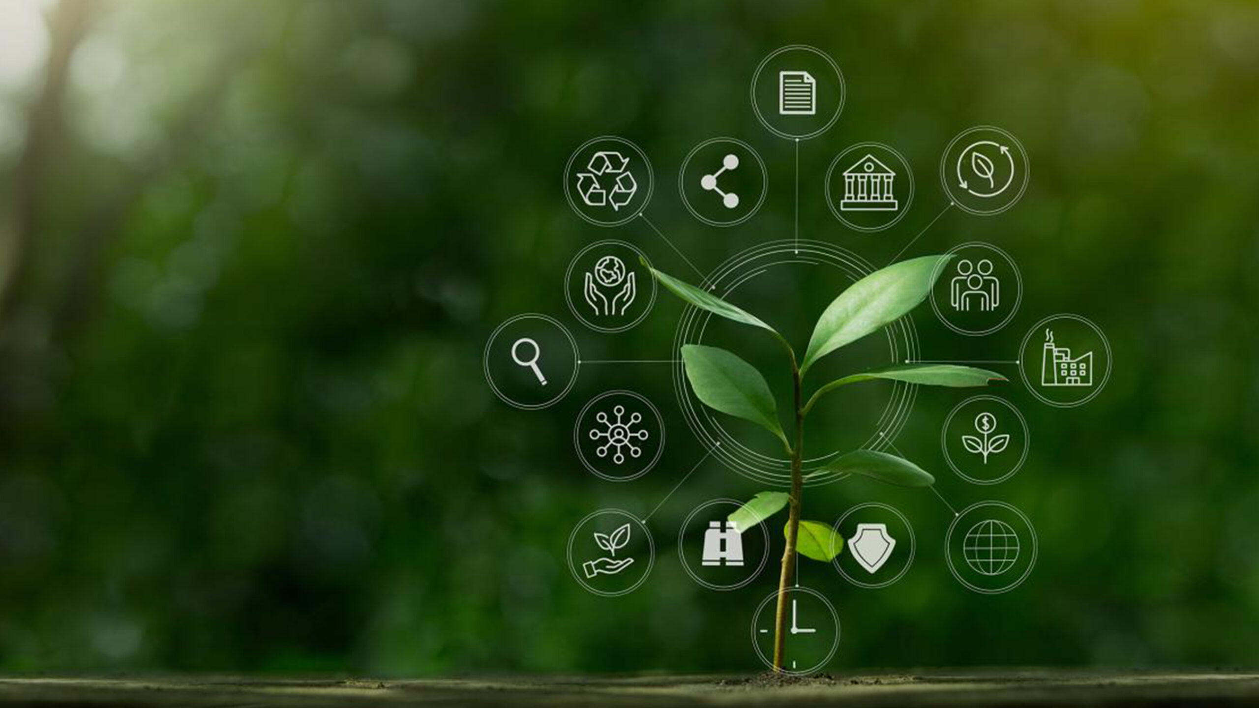 ESG Reporting in Kenya – Quick Guide