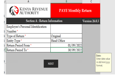 P10 Excel Sheet A showing employer PIN, business name, and return period
